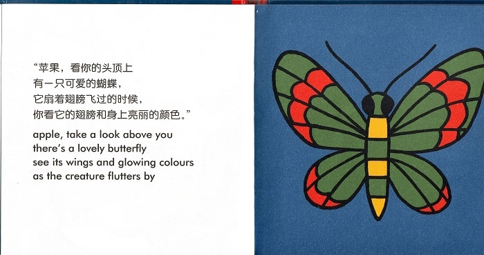 苹果 (08),绘本,绘本故事,绘本阅读,故事书,童书,图画书,课外阅读